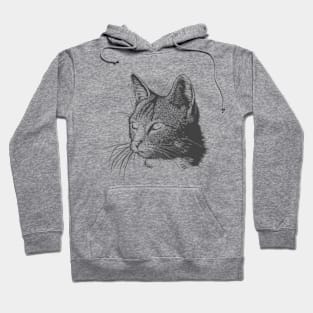 cat Hoodie